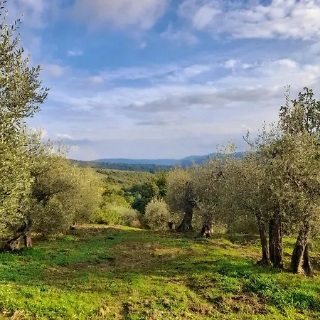 Cottage La Dolce Agogia Panicale Exterior photo