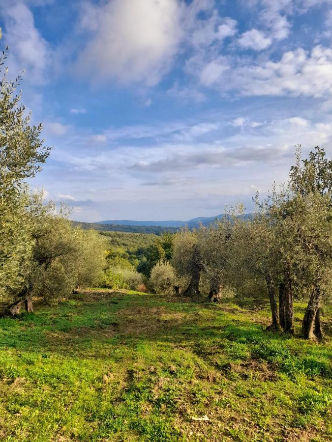 La Dolce Agogia *