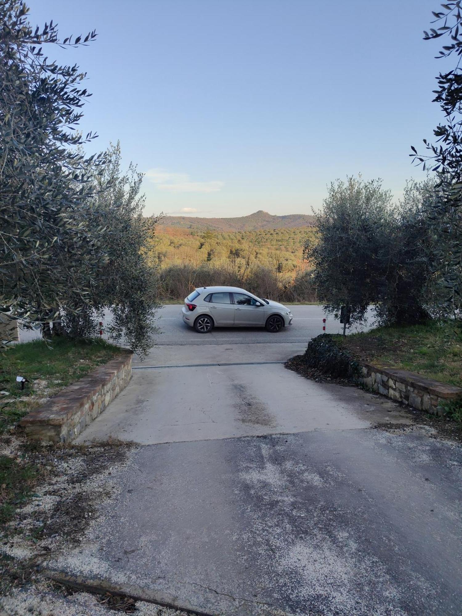 La Dolce Agogia