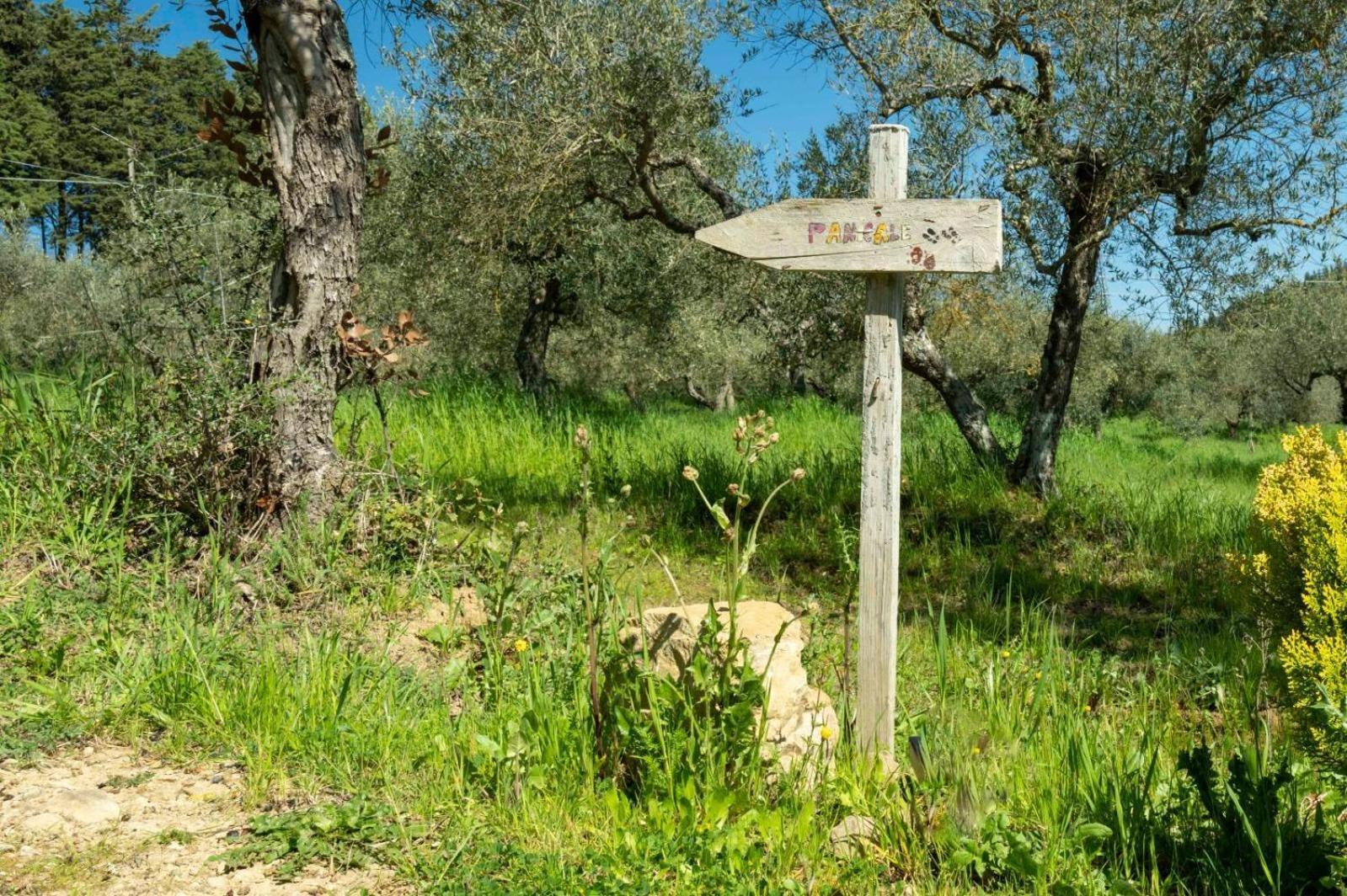 La Dolce Agogia Holiday home Panicale